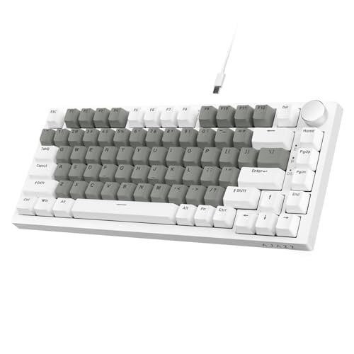 AJAZZ AK820 Tastiera meccanica cablata 75% TKL, hot-swap, montaggio su guarnizione, luce bianca, 82 tasti con manopola volume CNC, schiuma Poron, copritasti OEM PBT per PC/WIN/MAC-Grigio Bianco
