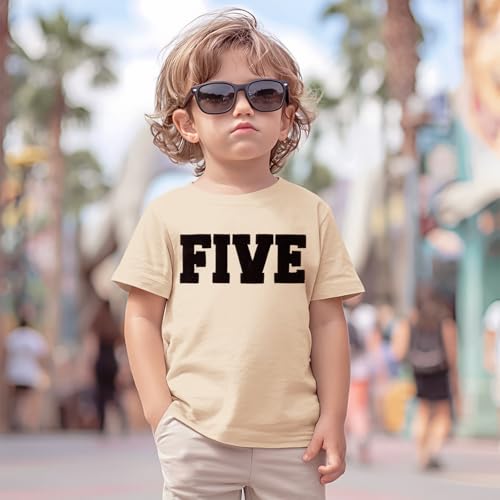 Boys Birthday Shirt Toddler Embroidery Tshirt Baby Boy Birthday Outfit Kids Bday Party Chenille Patch Tee Top 1-10Y2