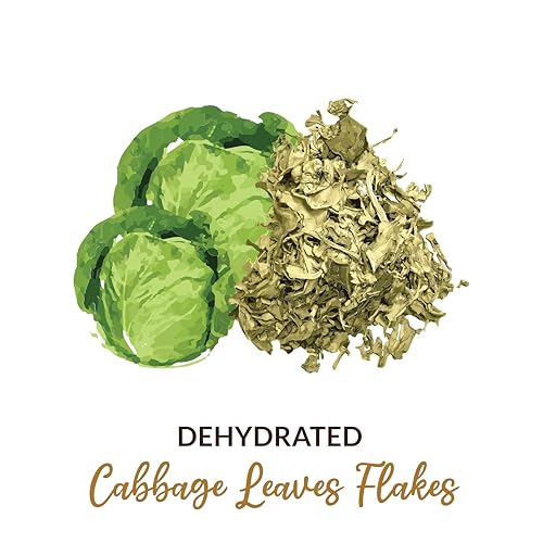 Image of SHROOTS Dehydrated Cabbage Leaves Flakes | 100% Natural & Pure Vegetarian | Machine-Dried | Nutrient-Rich & Aromatic | Ideal for Cooking, Soups, Curries & Seasoning | 100g Each, Pack Of 3