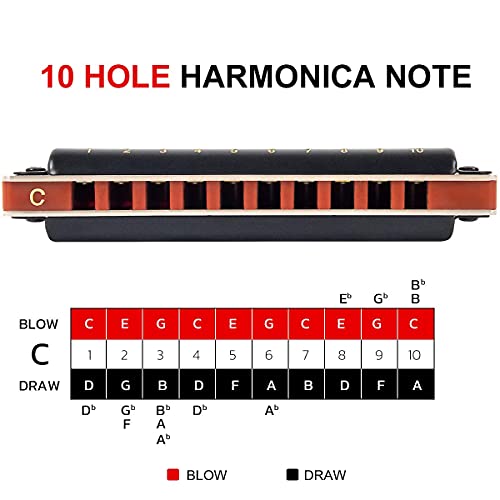 AKLOT Blues Harmonica 10 trous harpe diatonique clé de C Blues Harp 20 tons pour adulte et enfant avec étui rigide - Les Beatles, Paul McCartney, John Lennon, RIngo Starr, George Harrison AKLOT Blues Harmonica 10 trous harpe diatonique clé de C Blues Harp 20 tons pour adulte et enfant avec étui rigide – Image 7