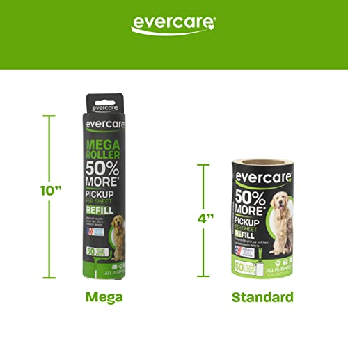 Image of Evercare All Purpose Pet Hair 2 Lint Rollers with 3 Refills, 60 Sheets Each - Manual Reusable Sticky Roller for Pet Hair, Green
