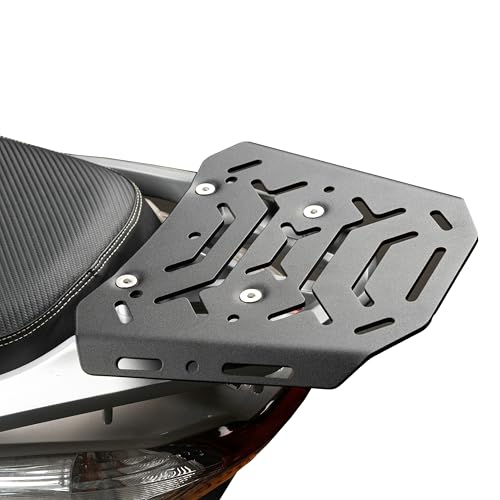 R-SPACE リアキャリア　Dio110/LEAD 125/S h mode R-SPACE製 ホンダ Dio110/LEAD125/Shモード用 リアキャリア 最大