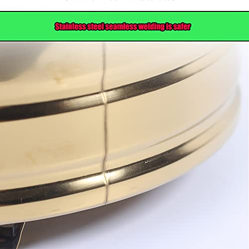 Tragbarer Verbrennungsofen aus Edelstahl für den Außenbereich mit verzinkter Auskleidung und Lüftungsgitter Gartenverbrennungsofen zum Verbrennen von Müll und Blättern-4