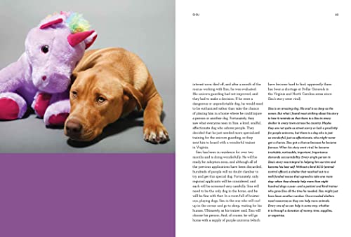 Forever Home: The Inspiring Tales of Rescue Dogs