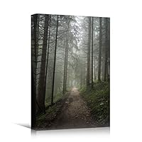 Canvas Wall Art Green Forest Dramatic Forest Landscape Living Room Multicolor Photography Rustic - 12x18 inches