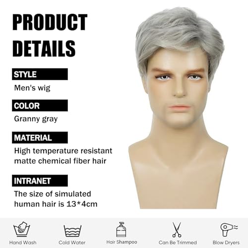 MLPKOI Herren Perücke Herren Graue Kurz, Wigs, Perücken, Pperücke Kurze, 70er 80er Disco Täglich Halloween Cosplay Perücke Kostümparty Flauschiges Kostüm, Hübscher Täglicher Rocker-Stil, Punk (Grau)