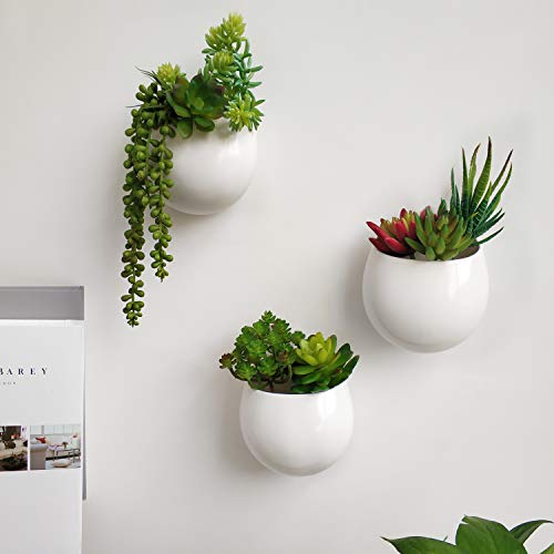 Get Wallpaper Wall artificial plants for home decor For Android Free