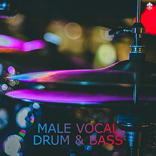 Best Male Vocal Drum And Bass Expert Review The Modern Record