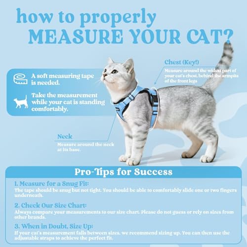 image for rabbitgoo Cat Harness and Leash for Walking, Escape Proof Soft Adjusta