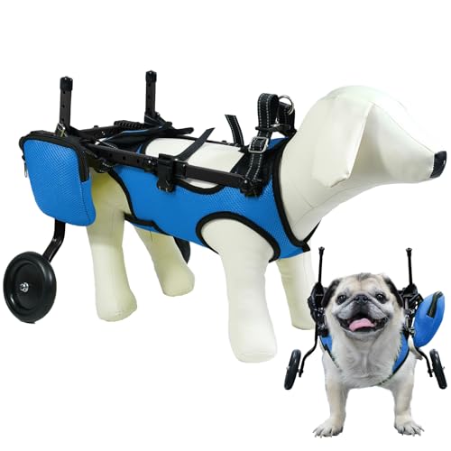 Hund-Rollstuhl für hinten gelähmte Haustiere