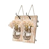 Emuardoe Mason Jar Wall Decor Rustic Wall Sconces Decorative 2 Packs LED Fairy Lights and Flowers Farmhouse Home Decor 6 Hours (Three meters, Khaki planks)