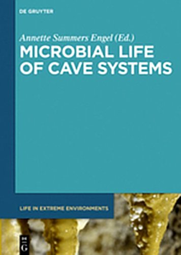 Microbial Life of Cave Systems