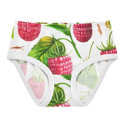 Toddler Underwear Floral 2t Cotton Little Girl Panties Pattern Briefs Underpants Red Raspberry Fruits Green White