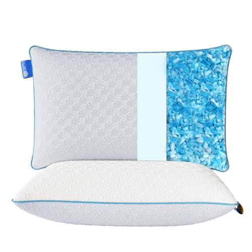 PAJEO Cooling Bed Pillows for Sleeping Queen Size Set of 2, Double-Sided Memory Foam Cool Pillow with Zipper for Hot Sleepers, Cold Pillows for Side, Back or Stomach Sleepers