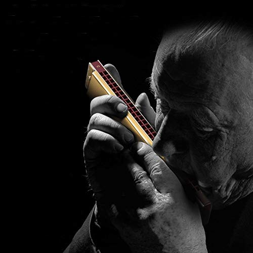 KMDSM Harmonica, 24 trous Chord Set 12 tons for une performance professionnelle, Crisp et sensible (argent, 17,8 * 2,9… - Les Beatles, Paul McCartney, John Lennon, RIngo Starr, George Harrison KMDSM Harmonica, 24 trous Chord Set 12 tons for une performance professionnelle, Crisp et sensible (argent, 17,8 * 2,9… – Image 5