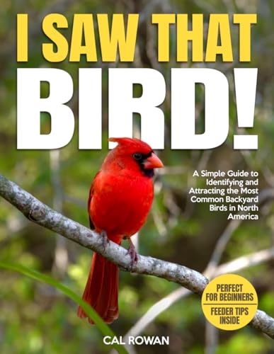 I Saw That Bird!: A Simple Guide to Identifying and Attracting the Most Common Backyard Birds in North America