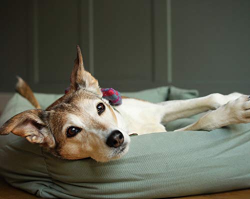 Cama Nido para Perro de Lupo, de Felpa, antialérgico, Relleno de Fibra Hueca, Lavable a máquina y Muy Duradera (pequeña, 60 x 45 x 20 cm), Color Verde