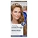 Clairol Root Touch-Up Permanent Hair Color Creme, 6.5G Lightest Golden Brown, 1 Count