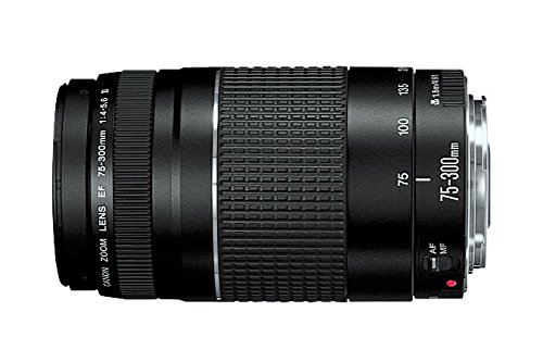 canon eos rebel t5 digital slr camera with ef s 18 55mm is ii ef 75 300mm f4 5 6 iii bundle