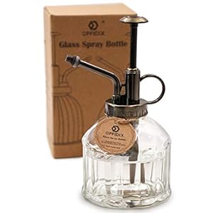 OFFIDIX Transparante glazen spuitfles, plantennevel met bronzen plastic bovenpomp, bloemengieter voor het besproeien van kleine planten in huis of op kantoor