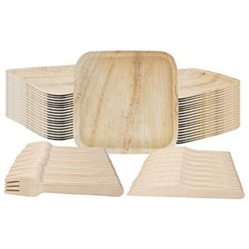 Tech Deals 🔥 Palm Leaf Plates & Wooden Fork/Knife Dinnerware Set Disposable (75 pc) | Natural Eco Friendly 10in Square Plates & Cutlery | Compostable Biodegradable Sustainable Party Pack for Occasions + Events Up To 40% OFF Palm Leaf Plates & Wooden Fork/Knife Dinnerware Set Disposable (75 pc) | Natural Eco Friendly 10in Square Plates & Cutlery | Compostable Biodegradable Sustainable Party Pack for Occasions + Events