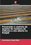 Prevenção e controlo da queima de resíduos de culturas a céu aberto no Punjab (Portuguese Edition)