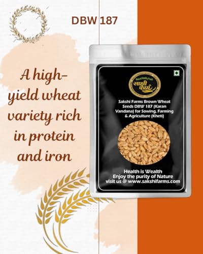 Image of Sakshi Farms Brown Wheat Seeds Pusa Karan Vandana (DBW 187) for Sowing, Farming & Agriculture (Kheti खेती) | Pure Pusa Karan Vandana (DBW 187) Wheat Seeds Gehu Ka Bheej | 20 KG