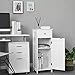 VASAGLE Storage Cabinet, Small Slim Floor Cabinet with Drawer and Door, for Living Room, Bathroom, Bedroom, 11.8 x 13.8 x 34.3 Inches, White UBBC48WT