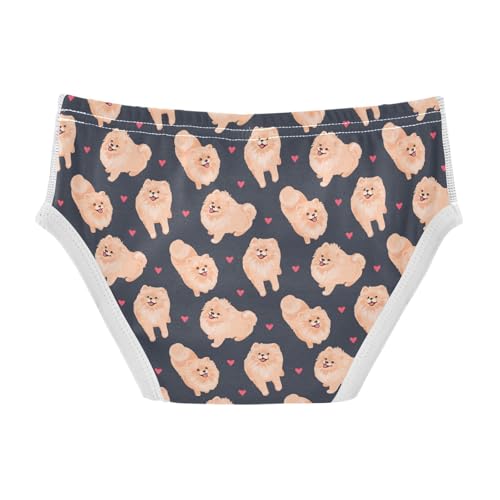 Cotton Little Boys Briefs Soft Pomeranian Dog Toddler Underwear2