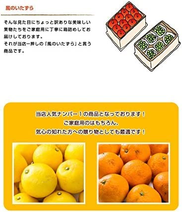 甘平　5kg　5L　青秀　 柑橘類　みかん Amazon.co.jp: みかん 甘平 かんぺい 青秀 5L～Lサイズ □ 5kg 愛媛県