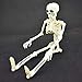 XONOR 16” Posable Halloween Skeleton- Full Body Halloween Skeleton with Movable Joints for Haunted House Props Decorations (1pc)