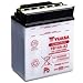 Produktbild Batterie YUASA YB14A-A2 (DC) offen ohne Säure, 12V|14Ah|CCA:175A (134x89x176mm) für Polaris Sportsman 500 HO Baujahr 2008