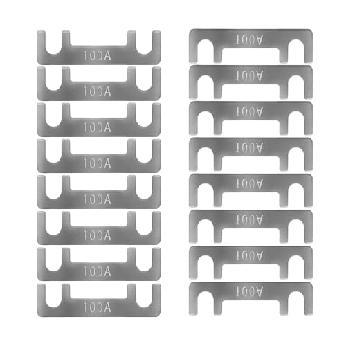 Fusibile a Nastro Mini Fusibili Auto Fusibili Lamellari 16pz Fusibili Stripe 30A 40A 50A 60A 70A 80A 100A 110A 125A 150A per Portafusibili Corrente Forte per Auto Camion Moto Barca (100A)