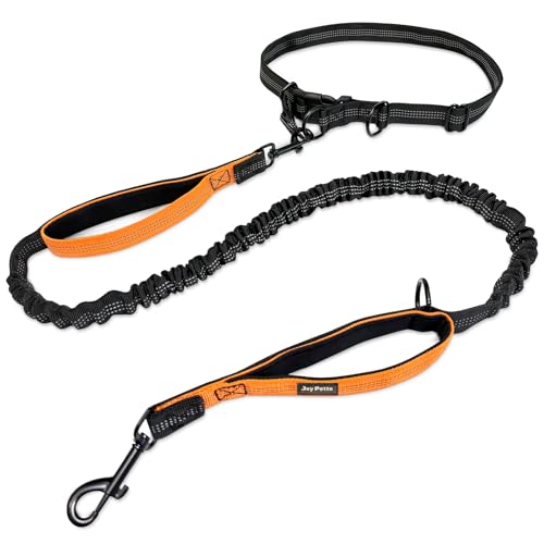 JoyPetto 4-6 FT Hands-Free Dog Leash for Running & Walking - Adjustable Waist Belt...