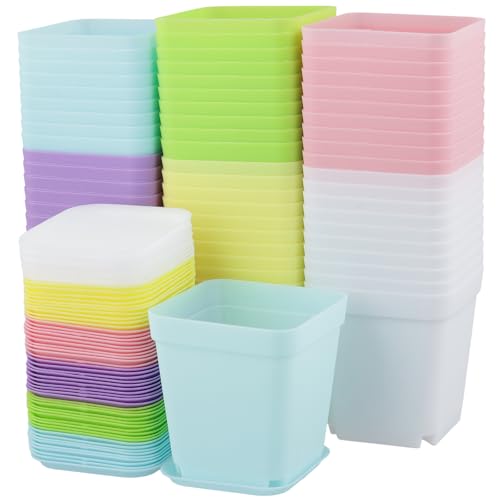 SINJEUN 60 macetas de 7 cm Coloridas rectangulares