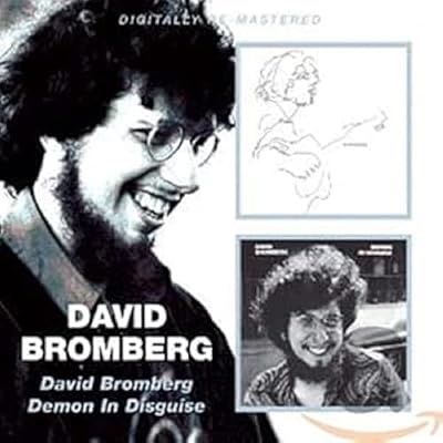 David Bromberg / Demon In Disguise