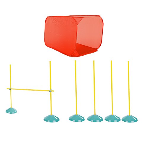 Best Agility Equipment For Puppies