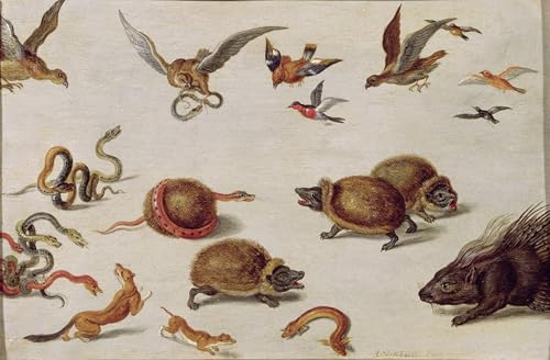 Tableau Toile Jan Van Kessel pour Salon Nature et Cabinet de Curiosités