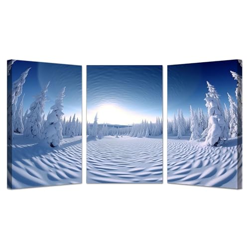 JOSUE 3 ピース 自然の冬の風景 はじめての絵画 キャンバス, モダンな夕日 白青 絵画 壁掛け 風水 玄関 開運 室内装飾 玄関 風水 壁絵 -30x45cm 額入り