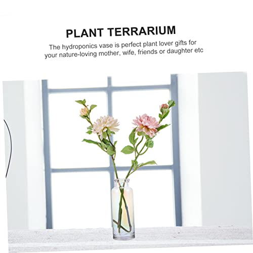 Jarrón de cristal para hidroponía Hemobllo, el obsequio ideal de decoración 7