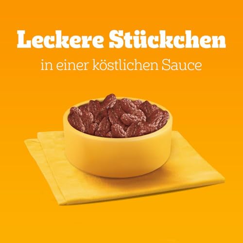 Pedigree DOGCARE Hundefutter Portionsbeutel Chunks in Soße Adult 40 x 100g