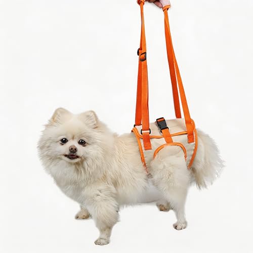 Image of Paralyzed Dog Harness with Hind Leg Support - Small Sized Dog Sling, Adjustable Lift Harness, Hip Dysplasia Brace & ACL Tear Aid for Elderly Dogs - Alternative to Dog Wheelchair