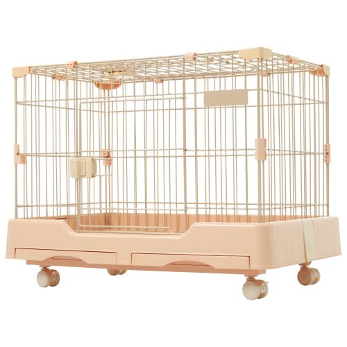 ETM P[W ^   P[W  LX^[t ogC VhAt nX^[ tFbg  X`[ gݗĊȒP ȃXy[X ÉLX^[ eiXȒP ybgnEX