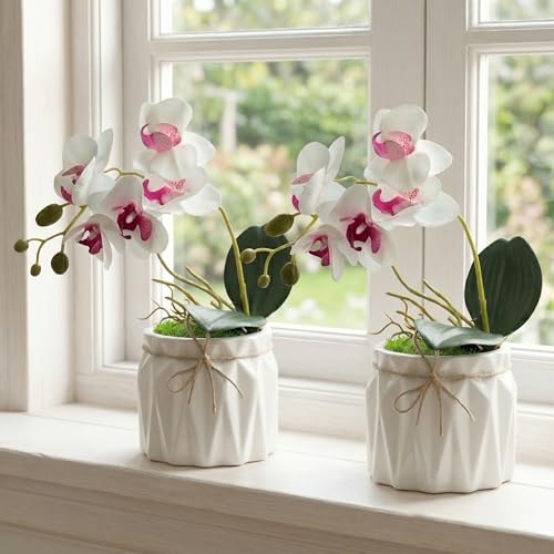 Image of Dekorly Artificial Lavender Plant in White Pot, 18cm - Realistic Faux Flower Arrangement for Home & Office Decor (Set of 1) (2, White Orchid)