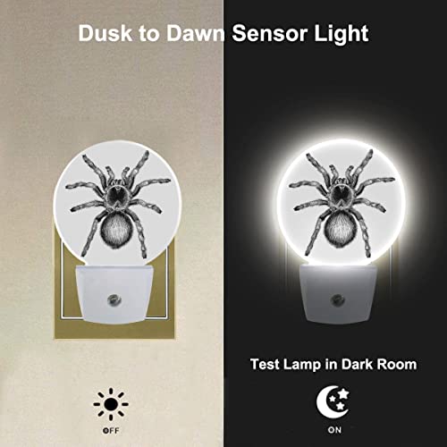 Image of White Black Spider Net Night Light Creepy Scary Spider LED Dusk to Dawn Plug-in Nightlight Auto Sensor for Bedroom Bathroom Hallway Living Room