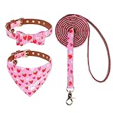 EXPAWLORER Small Collar and Leash Set - Embroidery...