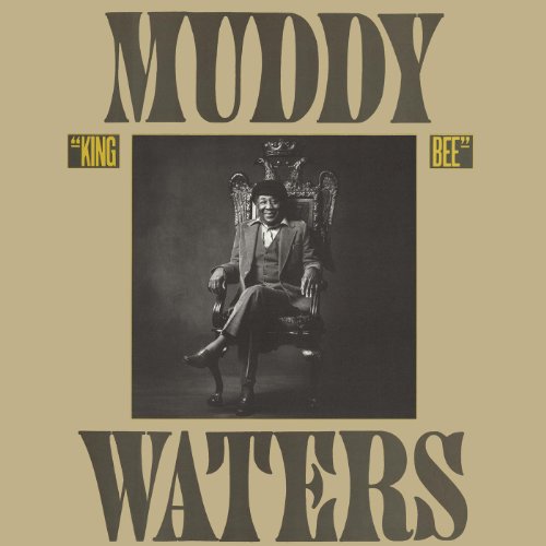Muddy Waters