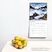 California Coast | 2024 12 x 24 Inch Monthly Square Wall Calendar | BrownTrout | USA United States of America Pacific West State Nature