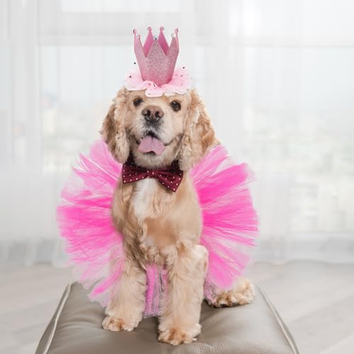 Conjunto disfraz para perro falda tutú y corona roja miniatura 6