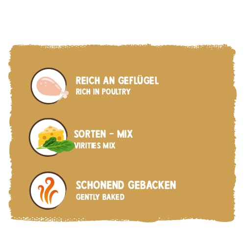 Sammy´s Knusper-Cracker | Herzhafte Snacks für Hunde | Reich an Geflügel | Schonend im Ofen gebacken | Knusper-Cracker mit Käse- und Spinatfüllung | ohne Zuckerzusatz | Trainingssnack | 1x 1 kg